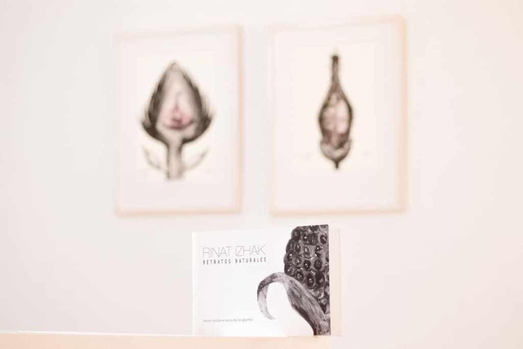 Monkeys Apartments La Artista Sevilla Kültér fotó